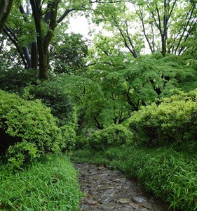 DSC_76941.jpg